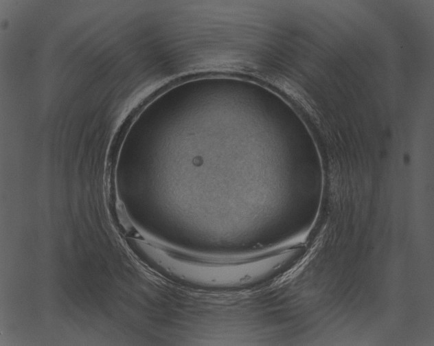 X0000062611077200601111002