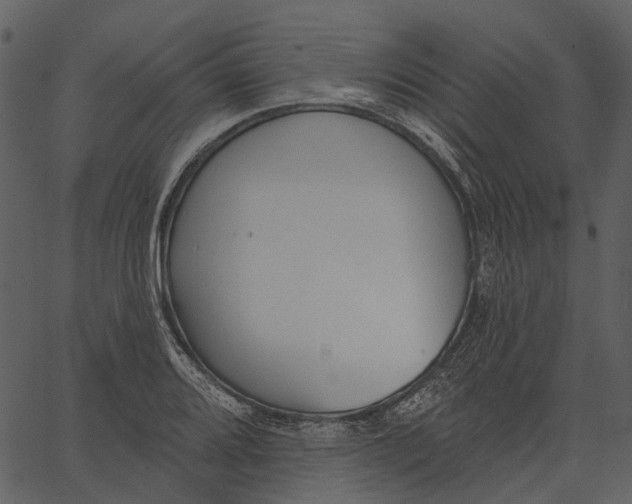 X0000062611080200601111002