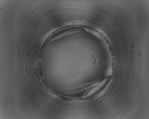 X0000062611081200601111002