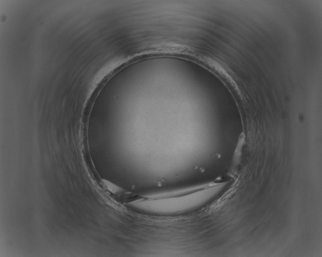 X0000062611085200601111002