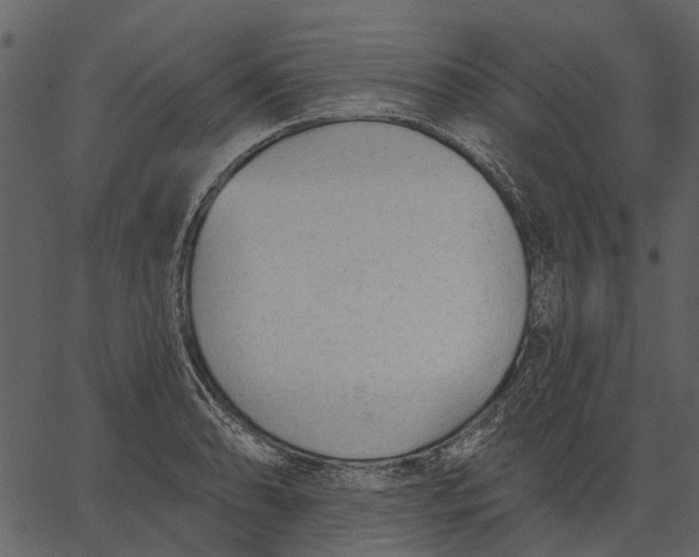 X0000062611086200601111002