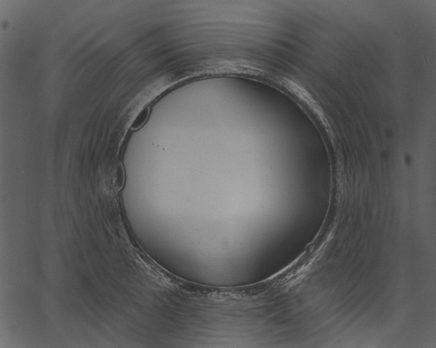 X0000062611089200601111002