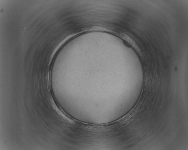 X0000062611092200601111002