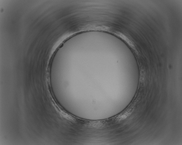 X0000062611094200601111002