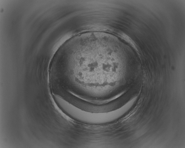 X0000062611095200601111002