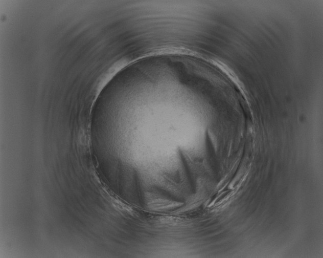 X0000062611097200601111002