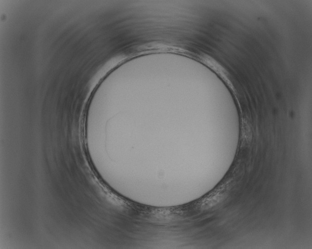 X0000062611098200601111002