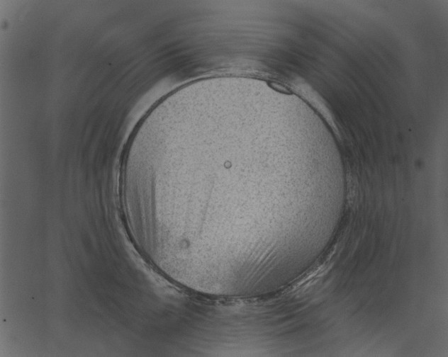 X0000062611099200601111002