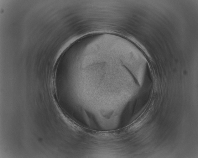 X0000062611101200601111002