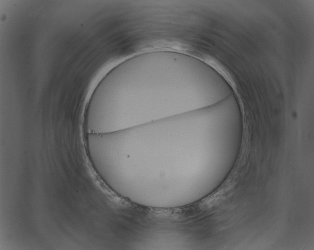 X0000062611104200601111002