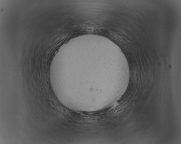 X0000062611105200601111001