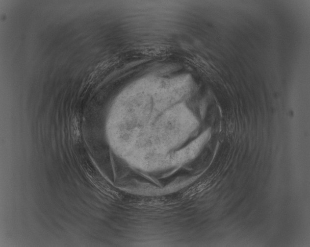 X0000062611106200601111001