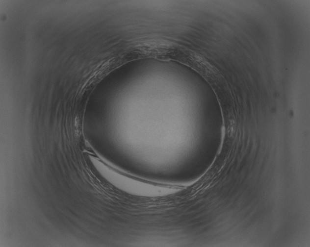 X0000062611108200601111001