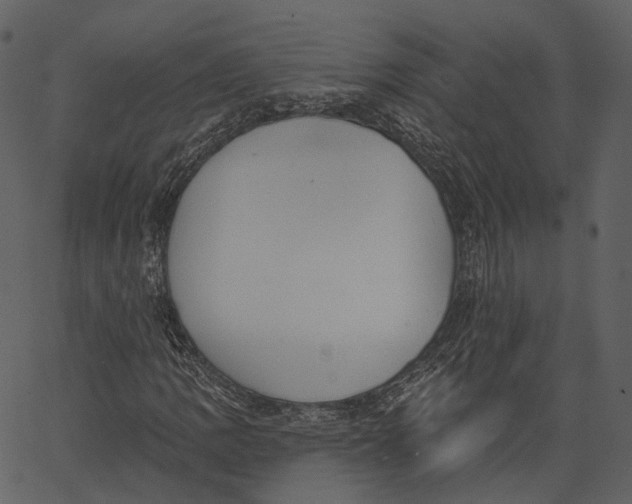 X0000062611109200601111001