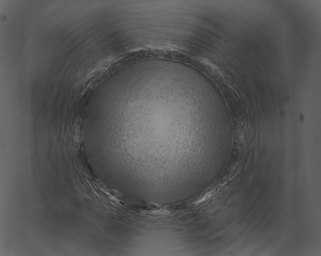 X0000062611110200601111001