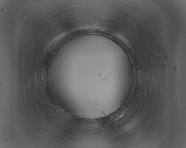 X0000062611111200601111001