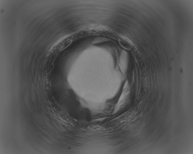 X0000062611112200601111001