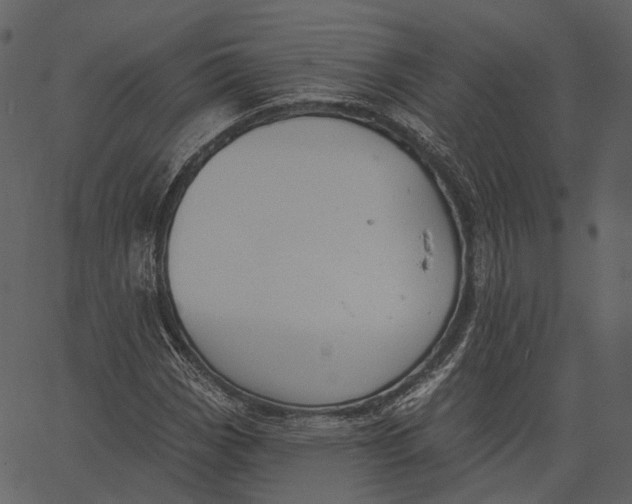 X0000062611113200601111001