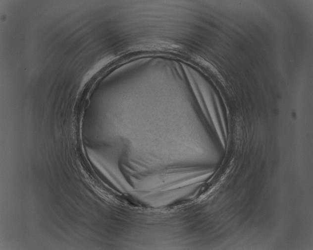 X0000062611114200601111001