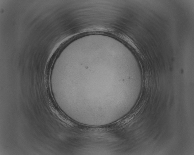 X0000062611116200601111001