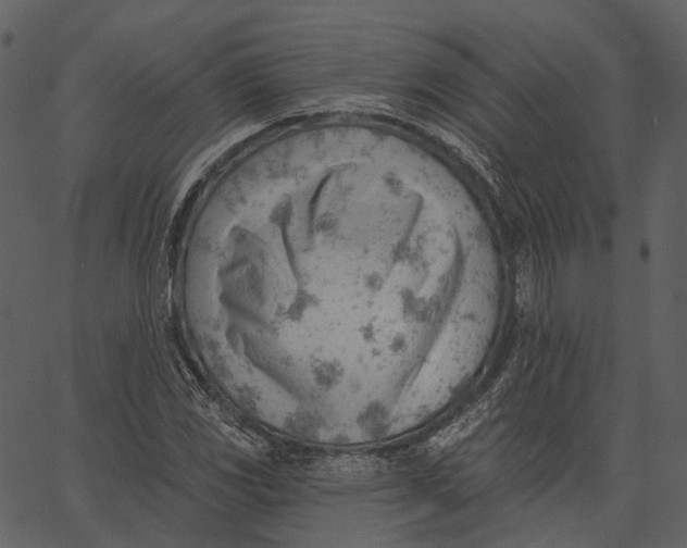 X0000062611117200601111001