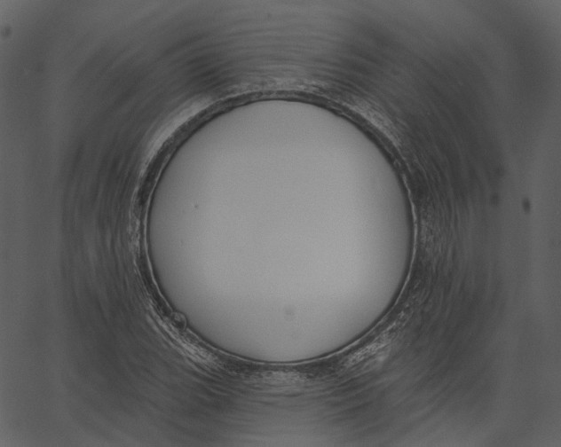 X0000062611119200601111001