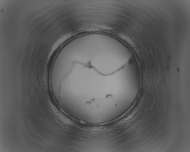 X0000062611122200601111001