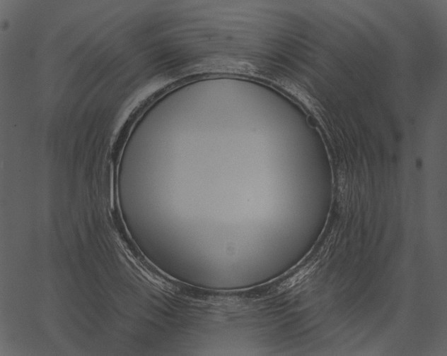 X0000062611123200601111001