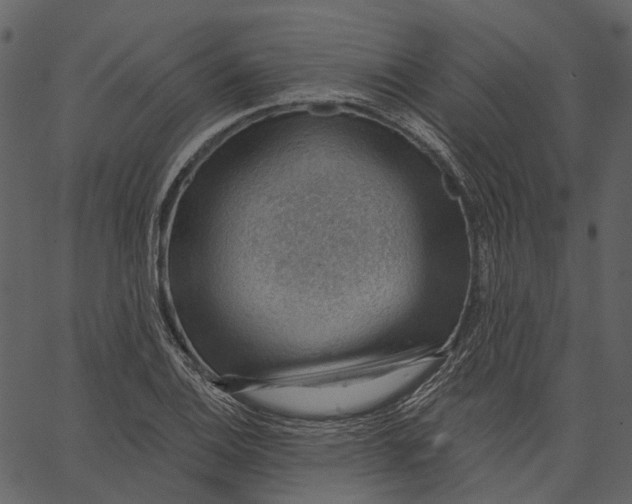 X0000062611124200601111001