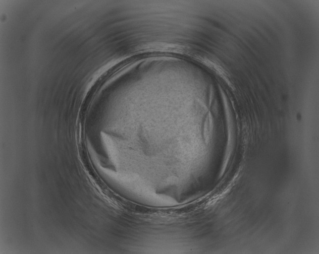 X0000062611125200601111001