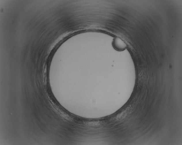 X0000062611126200601111001