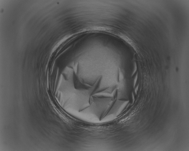 X0000062611127200601111001