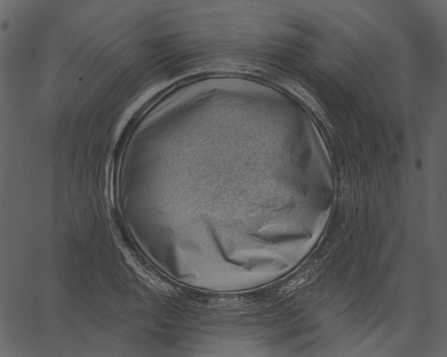 X0000062611128200601111001