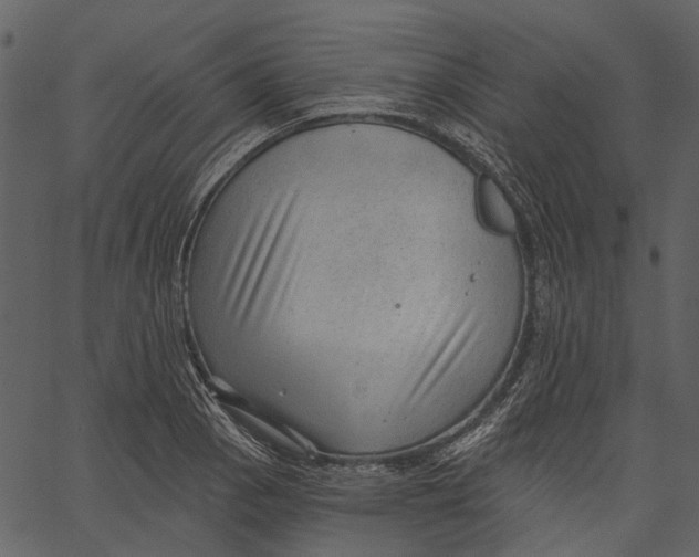 X0000062611129200601111001