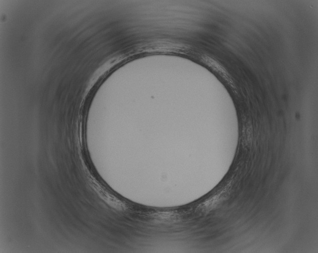 X0000062611130200601111001