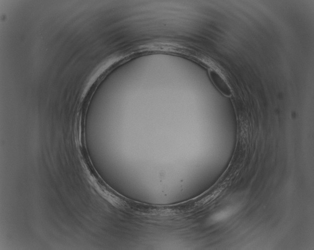 X0000062611131200601111001