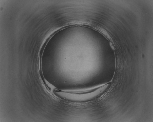 X0000062611132200601111001