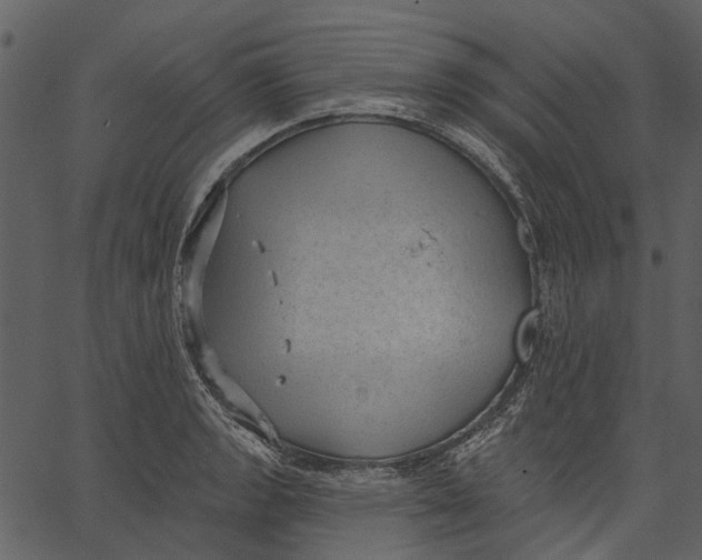 X0000062611133200601111001