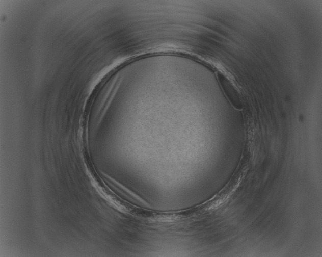 X0000062611134200601111001