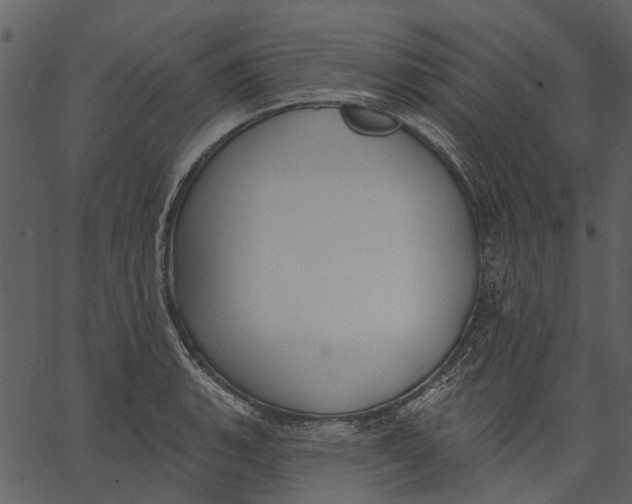 X0000062611135200601111001