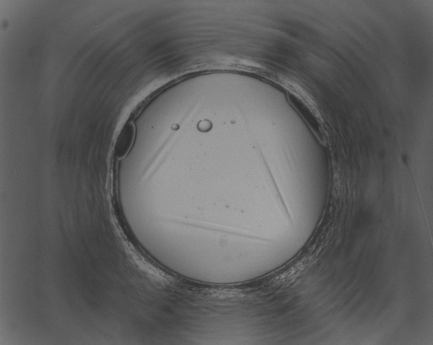 X0000062611136200601111001