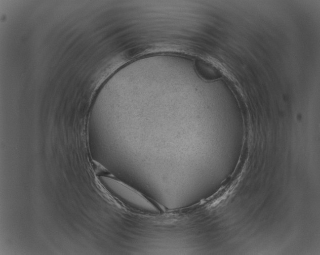 X0000062611137200601111002