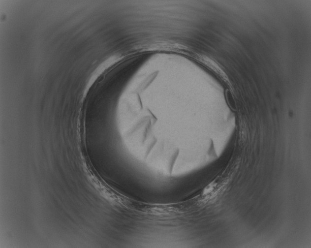 X0000062611138200601111002