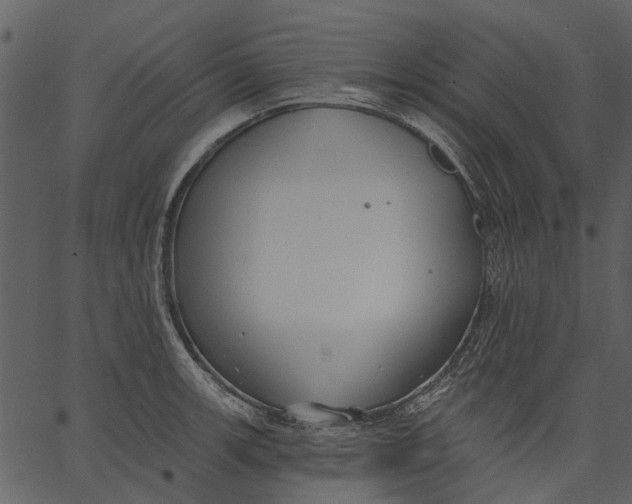 X0000062611139200601111002