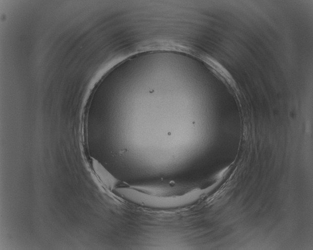 X0000062611144200601111002