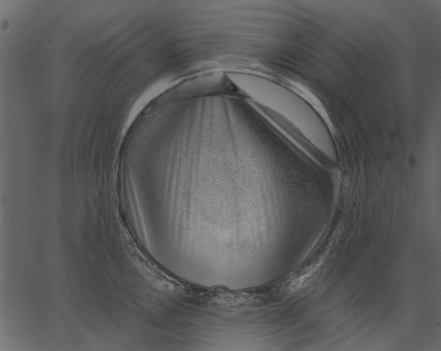 X0000062611146200601111002