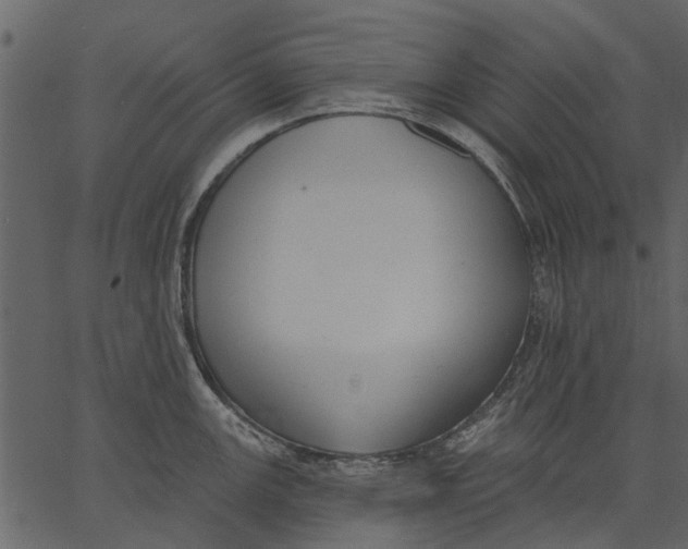 X0000062611147200601111002