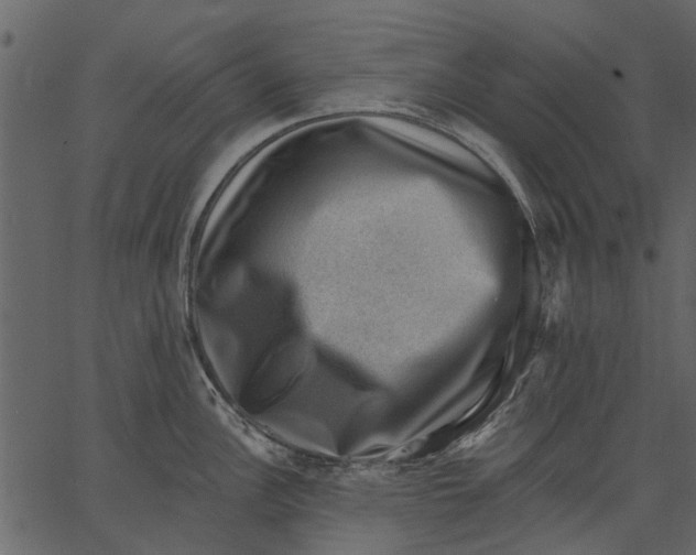 X0000062611148200601111002