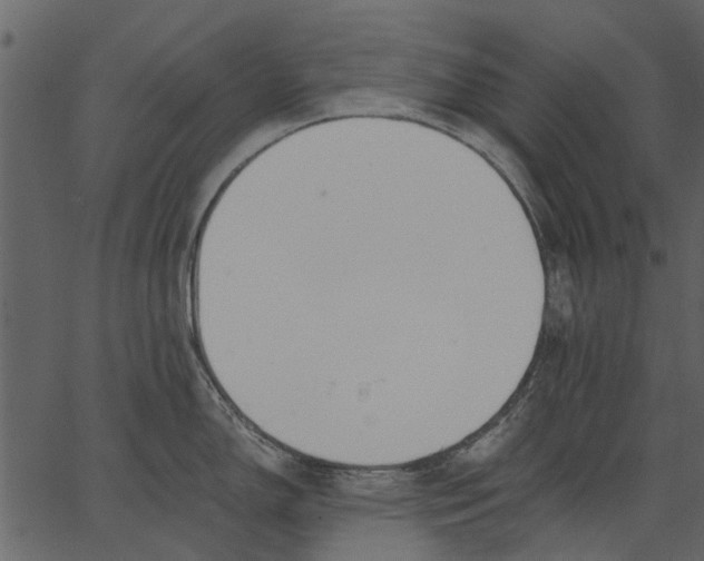 X0000062611150200601111002