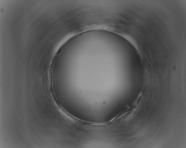 X0000062611151200601111002